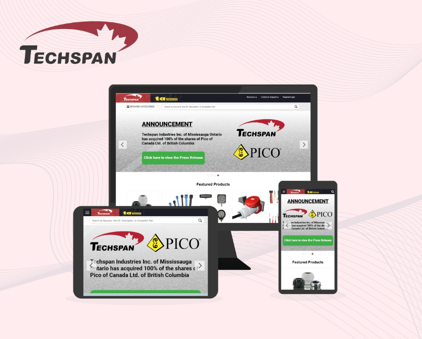 Techspan