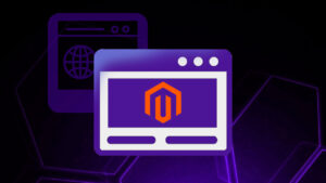 Custom Magento Theme Design