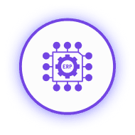 ERP Mapping