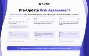 Shopware 6 Security Pre-Update Risk Assessment